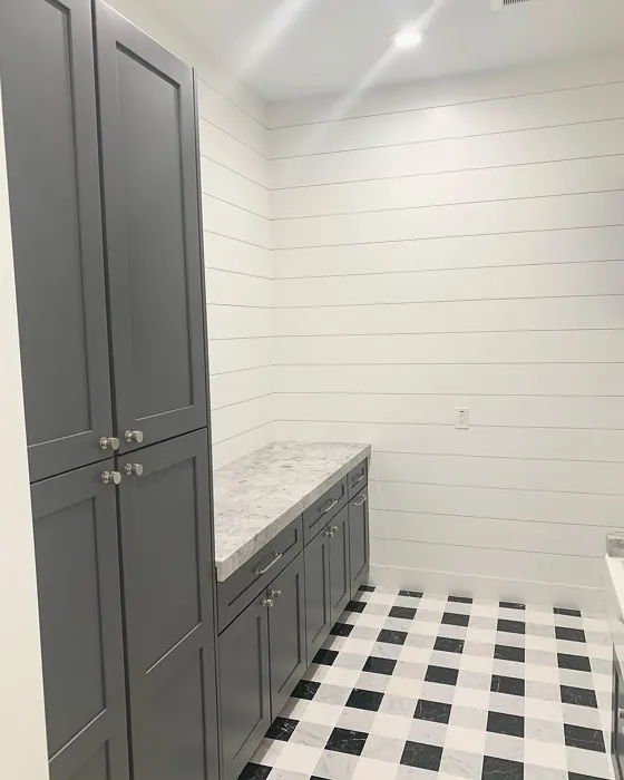 Bm Trout Gray Painted Cabinets