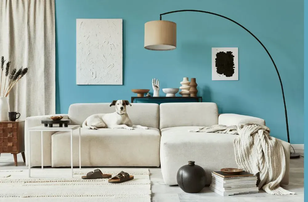 Benjamin Moore Turquoise Powder cozy living room