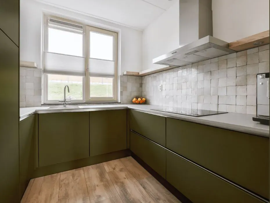 Benjamin Moore Turtle Green small kitchen cabinets