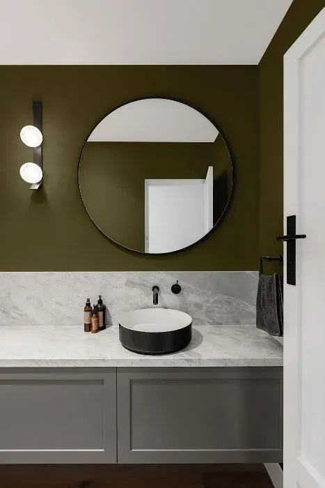 Benjamin Moore Turtle Green minimalist bathroom