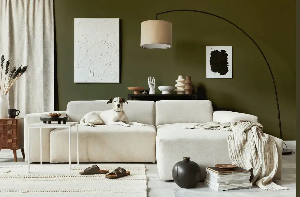 Benjamin Moore Turtle Green cozy living room