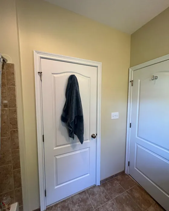 Twisted Oak Path bathroom color