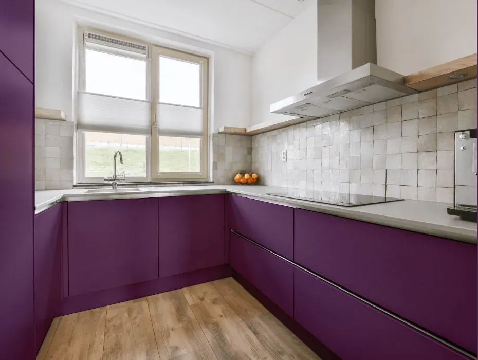 Benjamin Moore Ultra Violet small kitchen cabinets