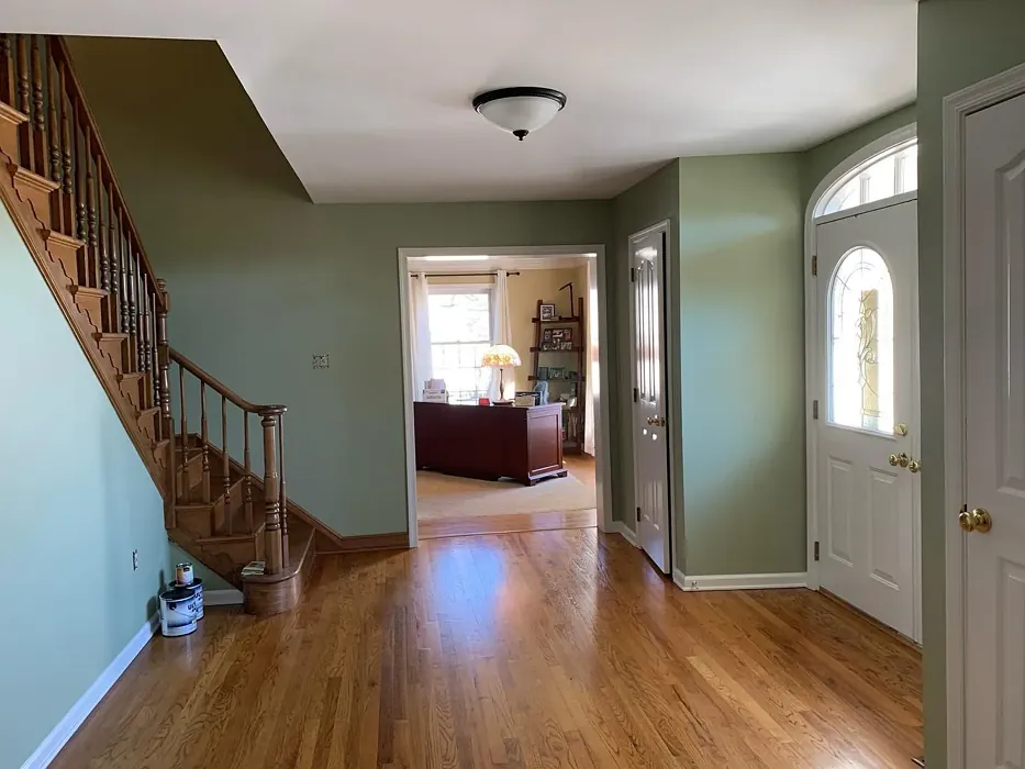 Benjamin Moore Urban Nature hallway color review