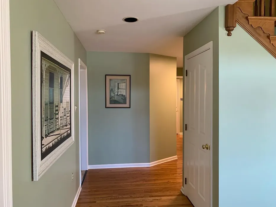 Benjamin Moore AF-440 hallway color