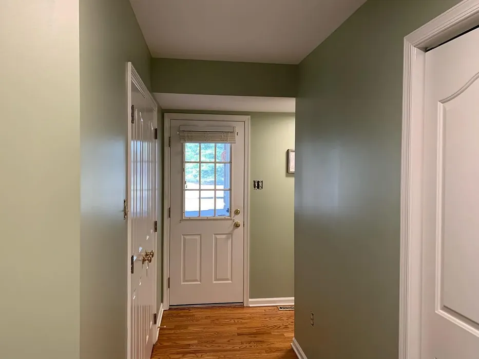 Benjamin Moore AF-440 hallway makeover