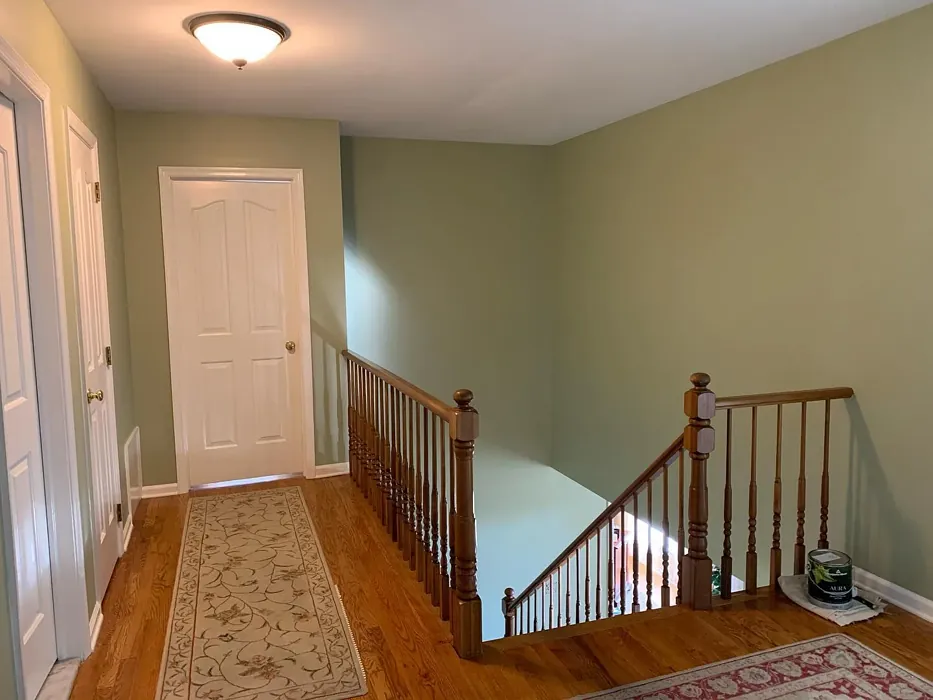 Benjamin Moore Urban Nature stairs makeover