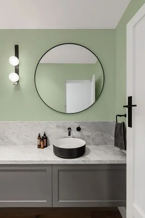 Benjamin Moore Van Alen Green minimalist bathroom