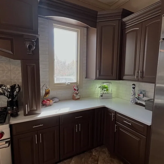 Van Buren Brown kitchen cabinets paint