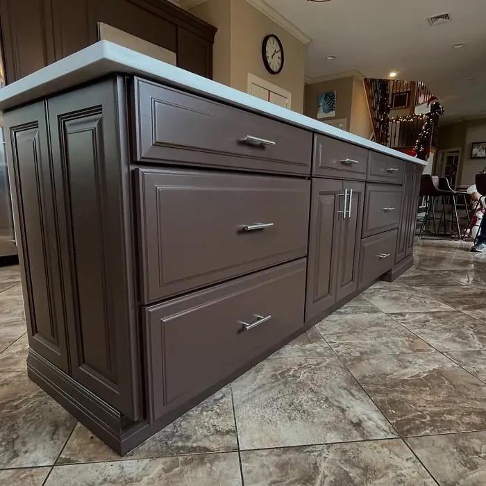 Van Buren Brown kitchen cabinets review