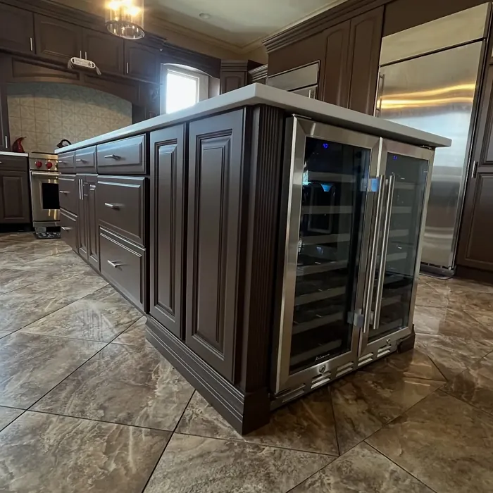 Van Buren Brown kitchen cabinets color