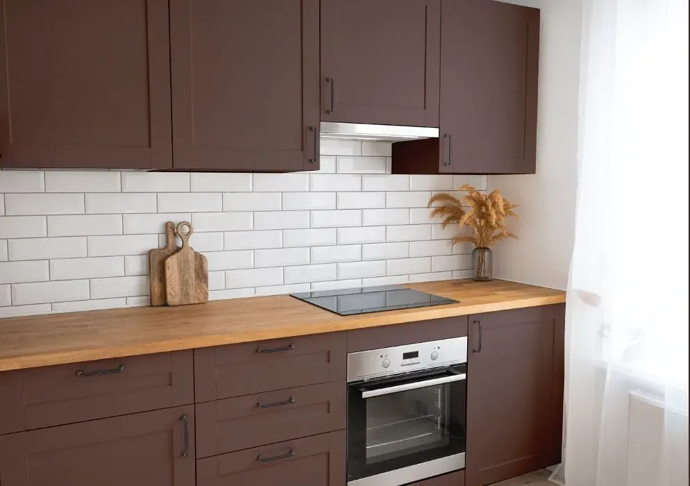 Benjamin Moore Velvet Plum kitchen cabinets