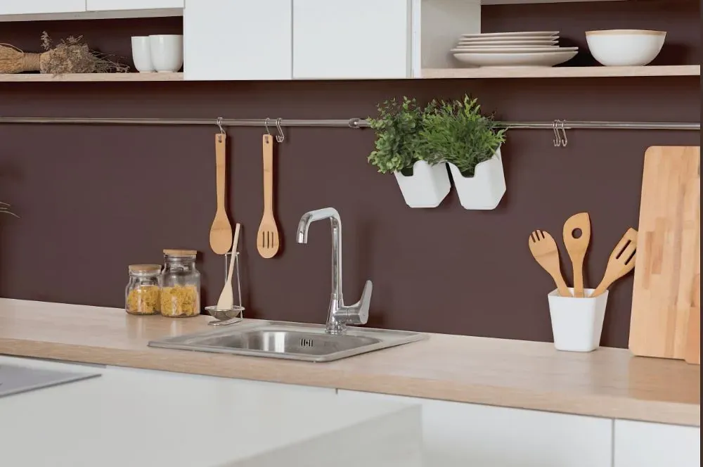 Benjamin Moore Velvet Plum kitchen backsplash