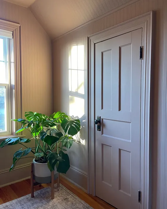 Benjamin Moore Venetian Portico wall paint color