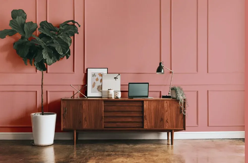 Benjamin Moore Venetian Rose modern interior