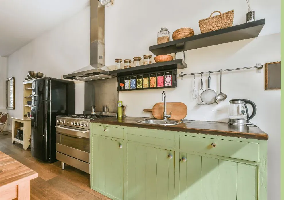 Benjamin Moore Veranda View kitchen cabinets