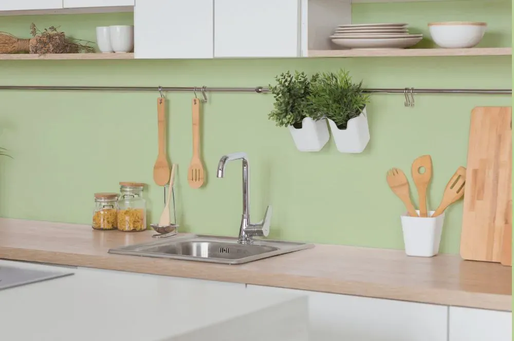 Benjamin Moore Veranda View kitchen backsplash