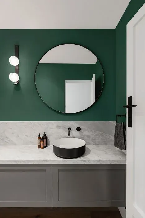 Benjamin Moore Verdigris minimalist bathroom