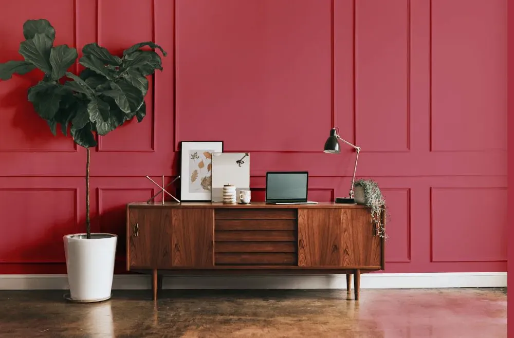 Benjamin Moore Vibrant Blush modern interior