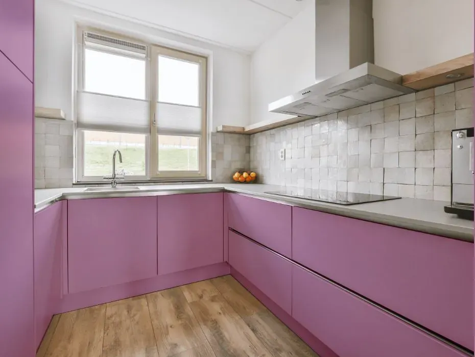 Benjamin Moore Victorian Purple small kitchen cabinets
