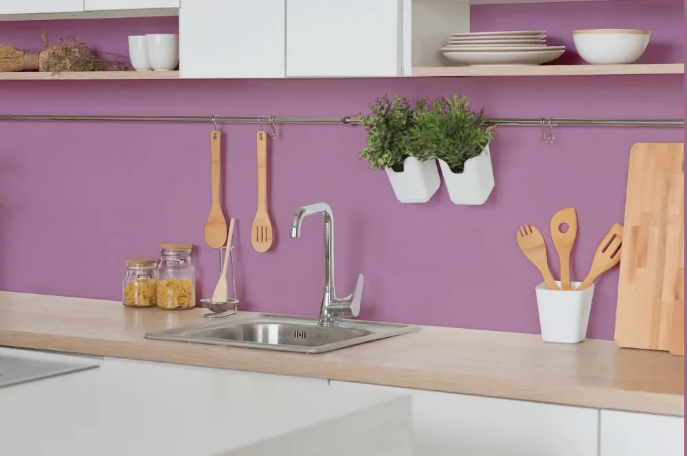 Benjamin Moore Victorian Purple kitchen backsplash