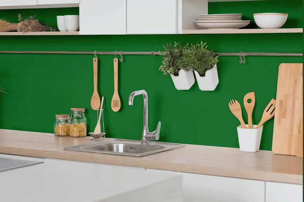 Benjamin Moore Vine Green kitchen backsplash