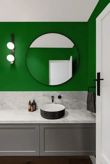 Benjamin Moore Vine Green minimalist bathroom