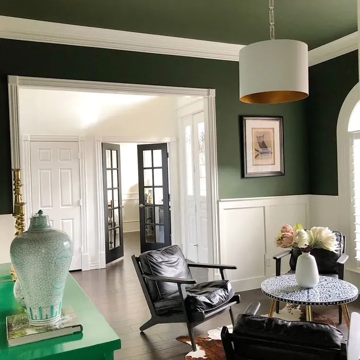 Vintage Vogue living room paint review