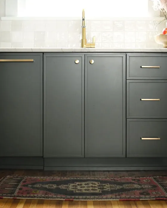 Vintage Vogue kitchen cabinets review