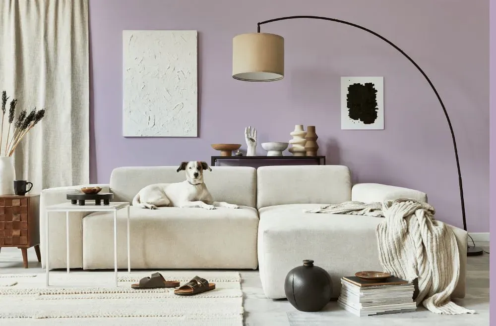 Benjamin Moore Violet Petal cozy living room