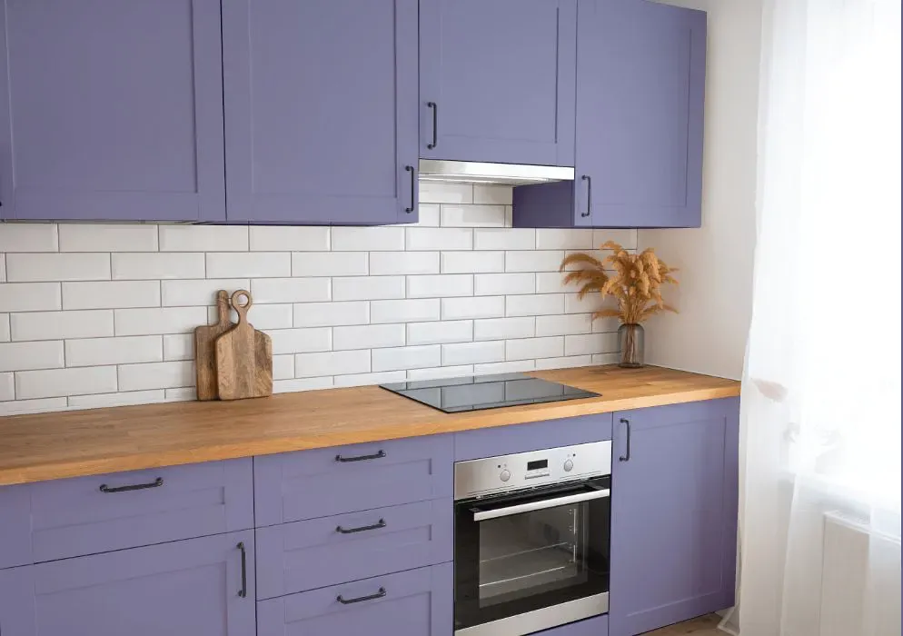 Benjamin Moore Violet Stone kitchen cabinets