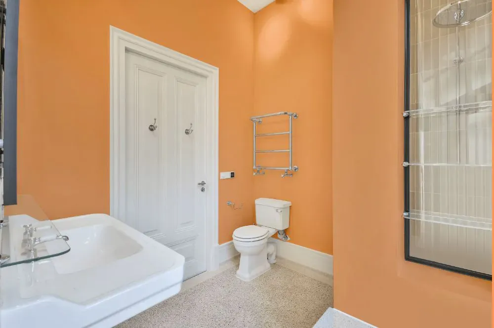 Benjamin Moore Vivid Beauty bathroom