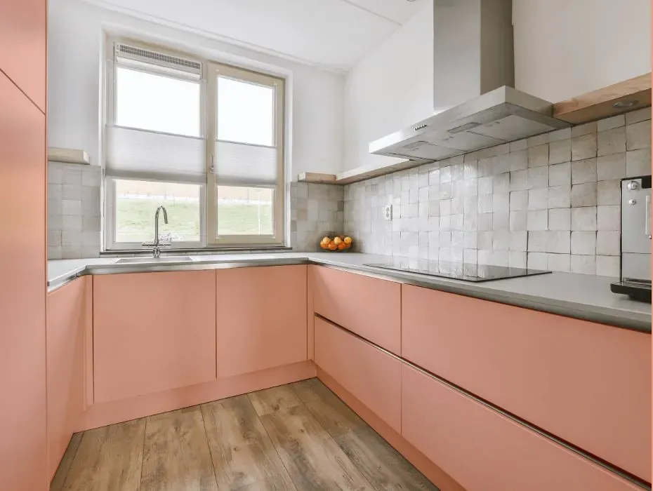 Benjamin Moore Vivid Peach small kitchen cabinets