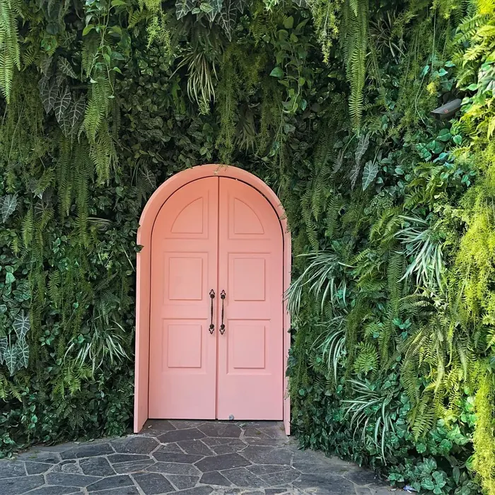 Benjamin Moore Vivid Peach front door color