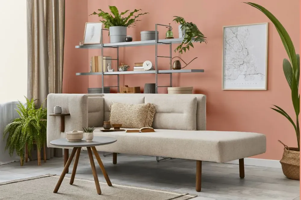 Benjamin Moore Vivid Peach living room