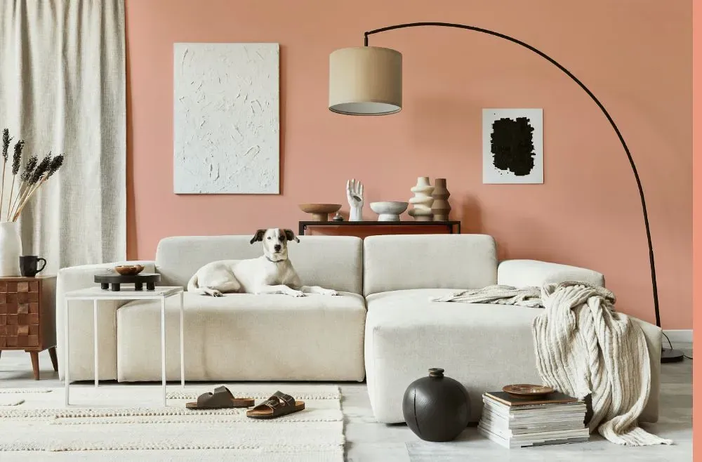 Benjamin Moore Vivid Peach cozy living room