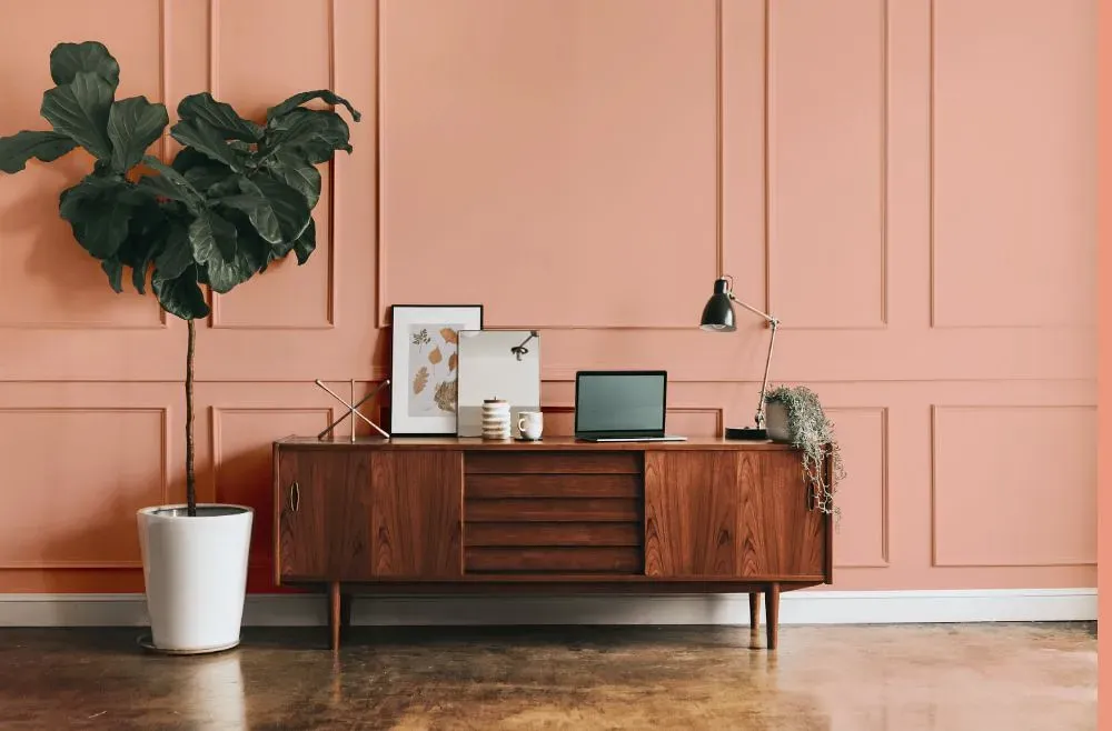 Benjamin Moore Vivid Peach modern interior