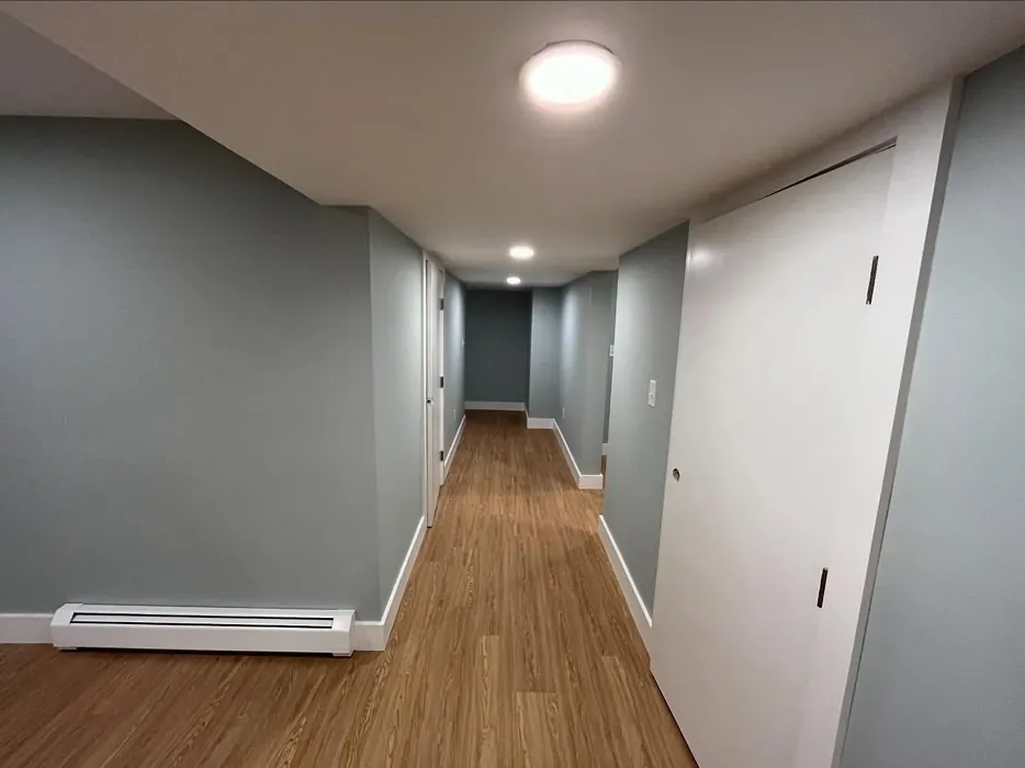 Benjamin Moore Wales Gray hallway color