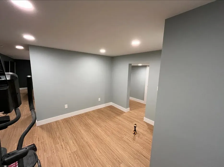 Benjamin Moore Wales Gray hallway color review