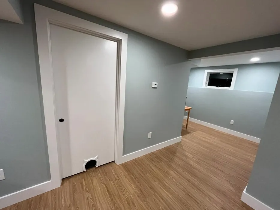 Wales Gray hallway paint review