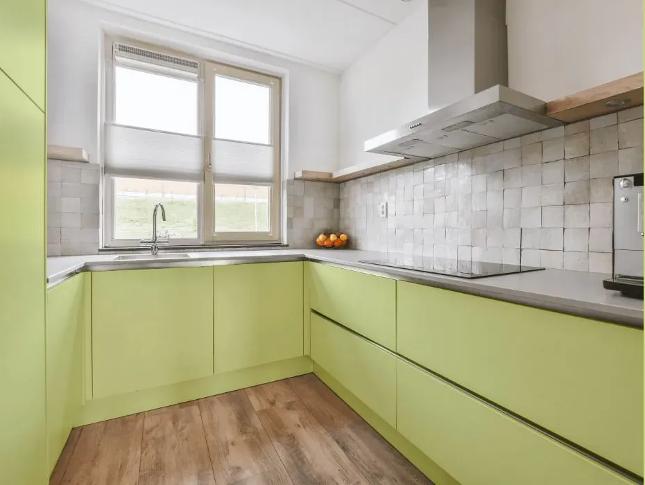 Benjamin Moore Wales Green small kitchen cabinets