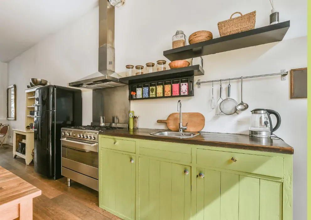 Benjamin Moore Wales Green kitchen cabinets