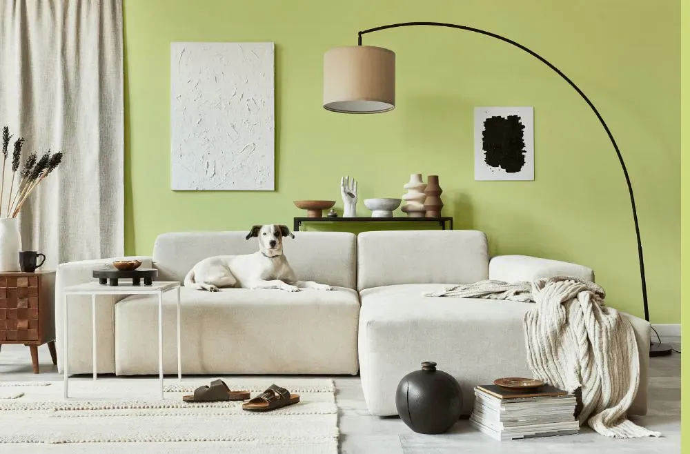 Benjamin Moore Wales Green cozy living room