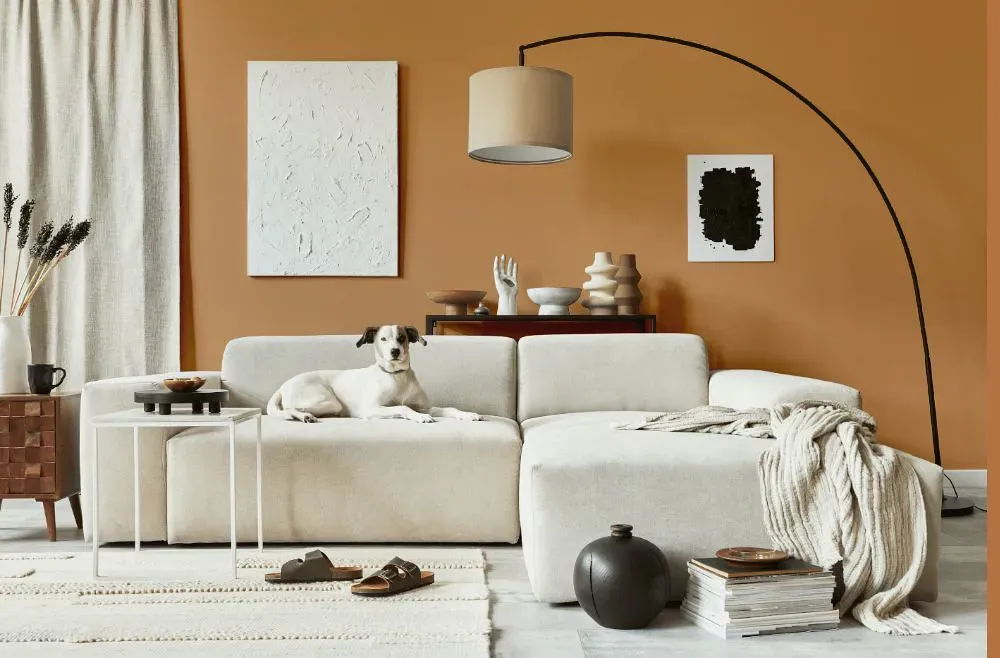 Benjamin Moore Warm Sunglow cozy living room