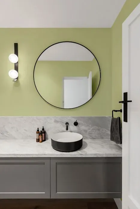 Benjamin Moore Warren Acres minimalist bathroom