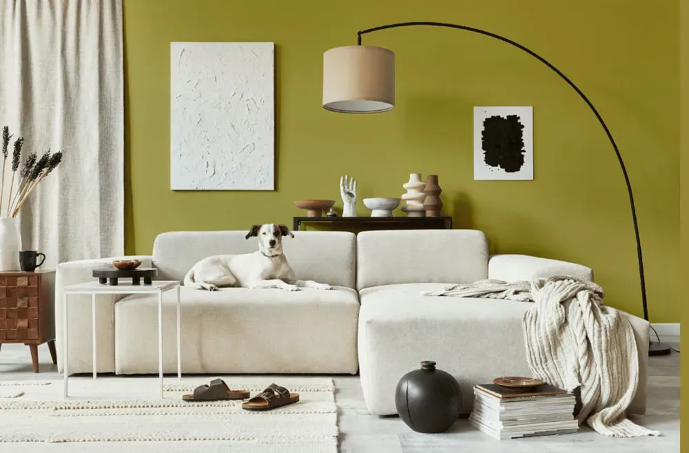 Benjamin Moore Wasabi cozy living room