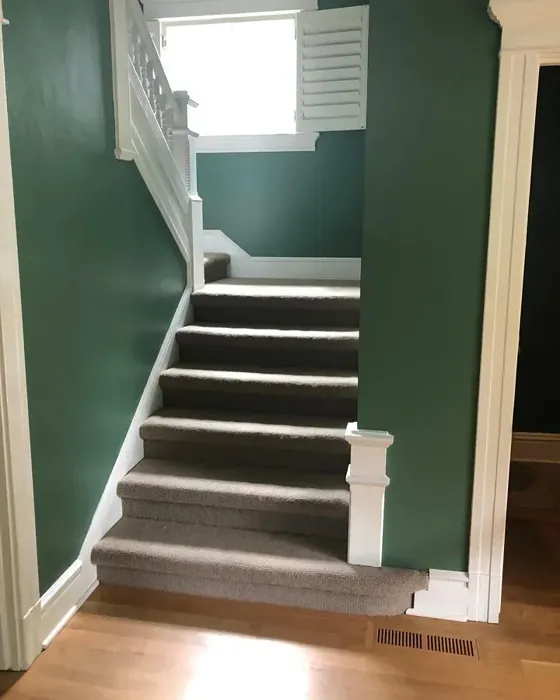 Benjamin Moore Webster Green Stairs