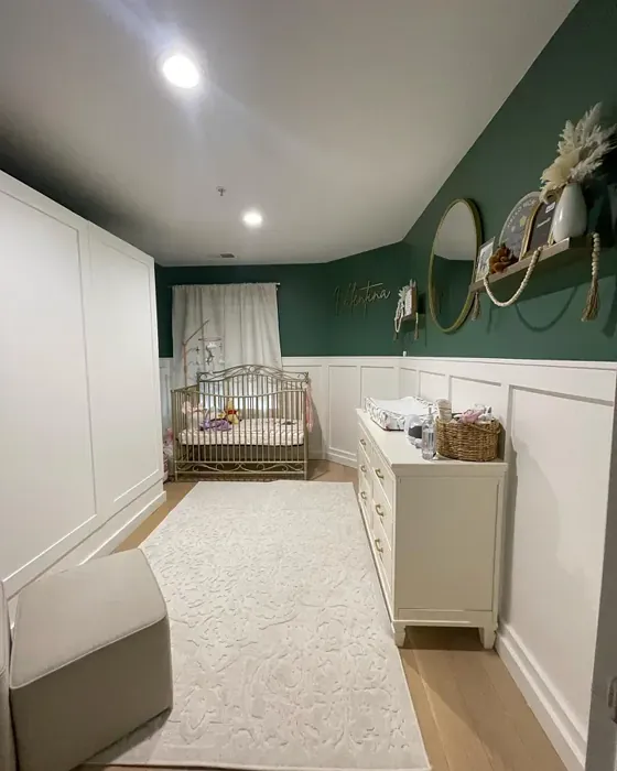 Benjamin Moore Webster Green Kids' Room