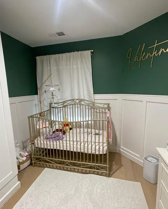 Benjamin Moore Webster Green Children'S Room