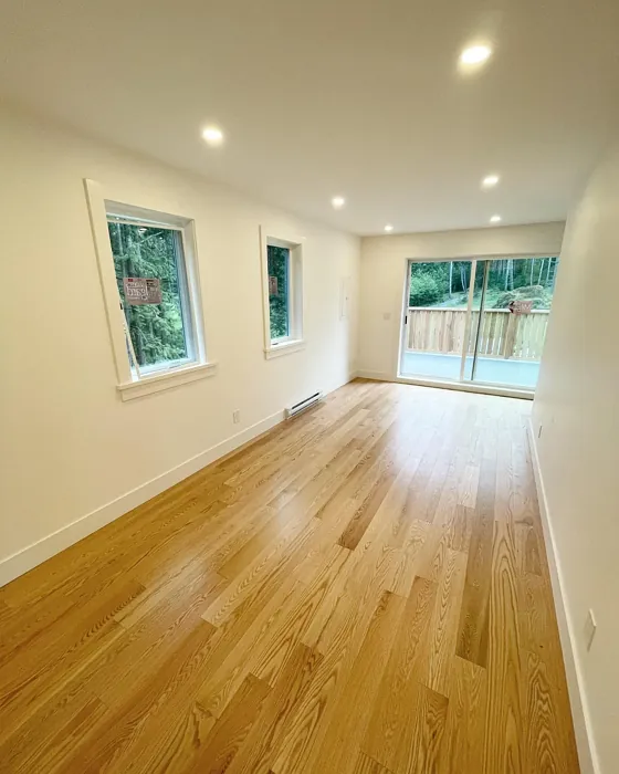 Benjamin Moore White Opulence wall paint 